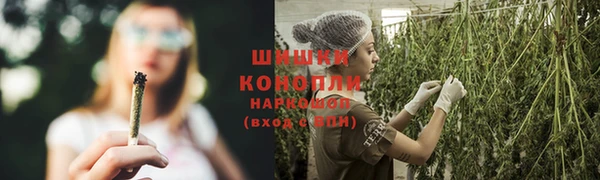 сатива Кукмор