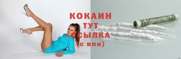 сатива Кукмор