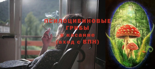 spice Кулебаки