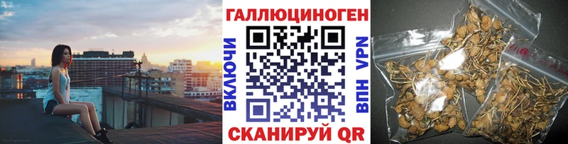 Галлюциногенные грибы Psilocybe  Купить где  Буй 