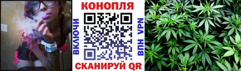 Купить закладки  Буй  МАРИХУАНА LSD WEED 